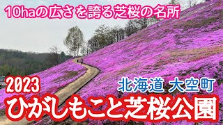 【北海道車中泊】大空町東藻琴芝桜公園