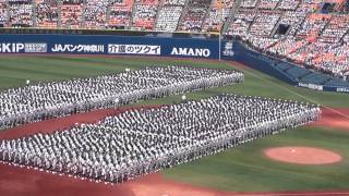 20150711第９７回全国高等学校野球選手権神奈川大会 開会式4