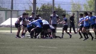 2017/4/23 大阪体育大学A vs 天理大学A