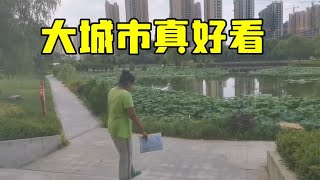 带巴铁媳妇去市区续签，被公园荷塘惊艳到了：绿油油的真好看