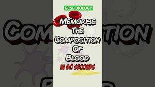 Everything you need to know on Composition of Blood! #gcse #science #biology #blood #bloodcells