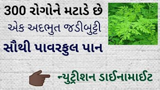 સરગવાના ફાયદા// 300 રોગોનો દુશ્મન // એક અદભુત જડીબુટ્ટી