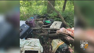 Local Couple Faces Animal Cruelty Charges After Nearly 20 Dead Animals Found