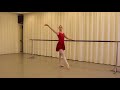 https www.primaballetclass.com demi plié bar professionals