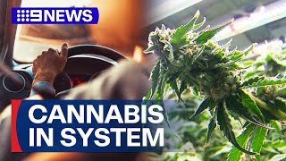 Drivers with cannabis in system to no longer lose licence in Victoria | 9 News Australia