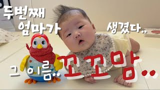 [vlog] 두번째 엄마가 생겼다. 그 이름 꼬꼬맘 🐔 | 슬슬 뒤집으려는 백일 아기 | 육아 브이로그 | 혜피브이로그