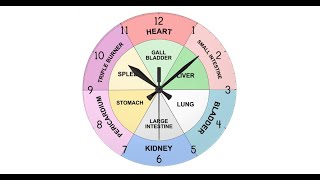 LAMP TCM \u0026 ACUPUNCTURE 33: Organ Clock, Influential (Master) Points, Moxibustion, Yang/Yin Worriers