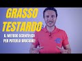 Grasso addominale: il metodo scientifico ed efficace per poterlo bruciare!