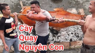 Cầy Quay Nguyên Con, Ngon không cưỡng được | NTN Ns24h