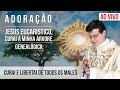 JESUS EUCARÍSTICO, CURAI A MINHA ÁRVORE GENEALÓGICA | CURAI E LIBERTAI DE TODOS OS MALES