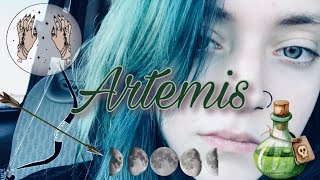 Artemis and my experience with her