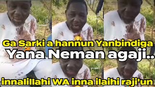 Ga Sarki a hannun #yanbindiga Yana Neman agaji💔 #bbchausa #hausa #duet #nigeria #sokoto #alsalamatu