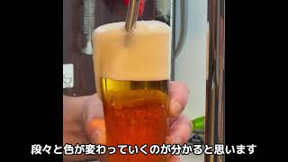 【麦酒大学】ゲストビール「キリンブラウマイスター」二度注ぎ【注ぎ分け】