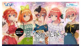 【ひこくじ五等分の花嫁～私と花火、見よ？～】を５回勝負したら？！