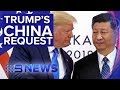 Donald Trump now calls on China to investigate Joe Biden | Nine News Australia