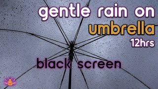 [Black Screen] Gentle Rain on Umbrella No Thunder | Rain Ambience | Rain Sounds for Sleeping