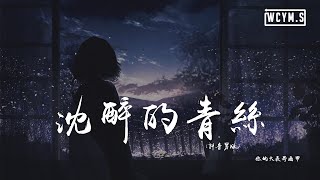 你的大表哥曲甲 - 沉醉的青丝 (抖音男版)「如果回忆容易，我会想你念你」【動態歌詞/pīn yīn gē cí】