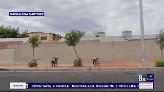 Pet dumping cases raise concerns in Las Vegas valley amid inflation