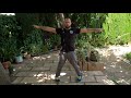 aprende wing chun desde cero