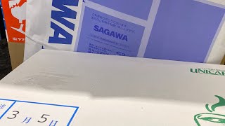 懸賞当選開封の儀 正幸あたおか？伊藤園から健康グッズが届きました