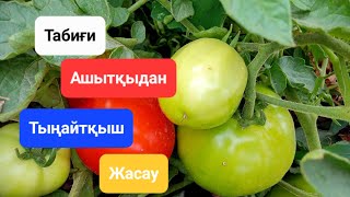 Табиғи ашытқыдан тыңайтқыш жасау/Ашытқыдан тыңайтқыш жасау