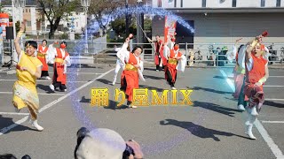 踊り屋MIX　秦野元気祭り春の陣　テームズ会場　2023年４月９日（日）