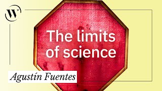 Can you separate science from the scientist? | Agustín Fuentes