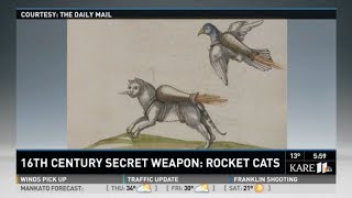 'Rocket Cat' Weaponry Plans Found In 16th-Century War Manual