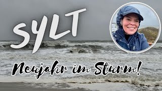 SYLT! 💨 Neujahr 2025! STURM-WANDERUNG bei Windstärke 9! 😈