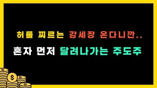 5년 차 공개 매매 일지/ 25년의 상반기 주도주