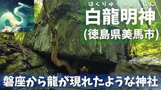 【白龍明神】磐座から白龍（徳島県美馬市）