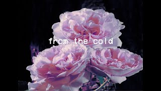 while(true) - From the Cold | Visualizer