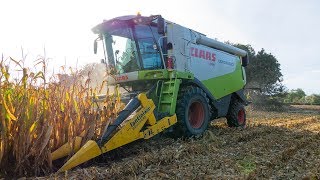 Battage de maïs grain et broyage avec un 8270R | Sarl Agri Services