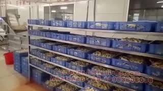 Chicken claw processing plant machines