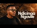 Loyiso Bala - Ndicinga Ngawe (Visualizer)