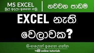 Microsoft Excel Beginner Course (Sinhala) Part 09 - Alternative to Excel?