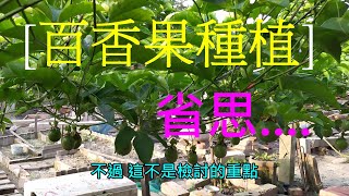 [百香果種植紀錄]02省思篇 百香果種植排水很重要 所以通常會種在較高的位置 但也有利用覆土來調整位置高度 但這樣做 卻很容易影響到生長年限...