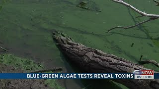 Nebraska Department of Environment and Energy tests local lakes due to toxic blue-green algae
