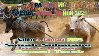 PACU JAWI JORONG KOTO HILING NAGARI SUNGAI TARAB KECAMATAN SUNGAI TARAB 4 JANUARI 2025