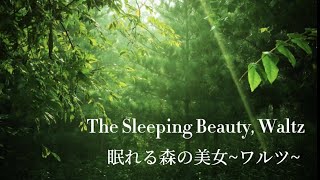 『眠れる森の美女』より「ワルツ」The Sleeping Beauty,Waltz  by P.Tchaikovsky