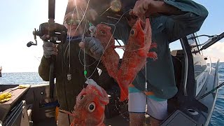 Jervis Bay offshore fishing