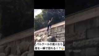 パルクールの達人なら崖を一瞬で登れる！？🤯 #パルクール #parkour #ウォールラン #wallrun #忍者 #ニンジャ #ninja