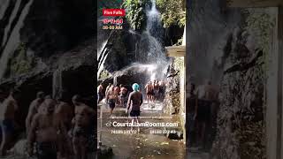 ஐந்தருவியின் இன்றைய நிலவரம் 🥶🤩|FiveFalls update|FiveFalls status|FiveFalls live#குற்றாலம் #tenkasi 🐯