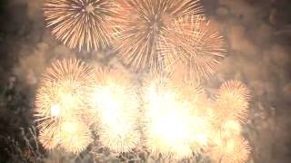 2016-08-20 赤川 - 「Dolphins ～恋するイルカショー～」磯谷煙火店  Akagawa Fireworks Festival: