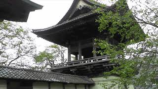 【真宗教団連合】宗派紹介 真宗出雲路派 毫攝寺　#ごえんさんエキスポ