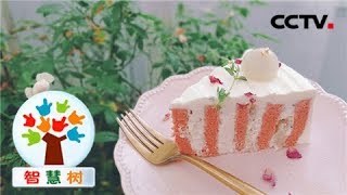 《智慧树》 果果美食屋：荔枝蛋糕 20180823 | CCTV少儿