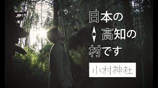 【日高村】小村神社から樹齢1000年の御神木が今日も村民を見守っている