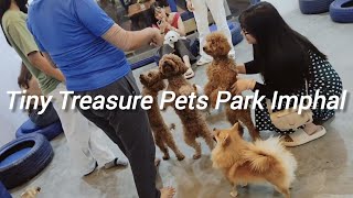 We Went to a Tiny Treasure Pets Park||Chingmeirong Imphal