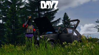 БЕСКОНЕЧНЫЕ ФАЙТЫ ИЛИ ОЧЕНЬ ДИНАМИЧНЫЙ ВАЙП В DAYZ!