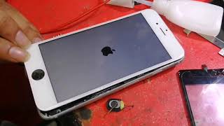 iphone 6s display light problem How to Fix Black Screen, Display Wont Turn On, Screen is Blank